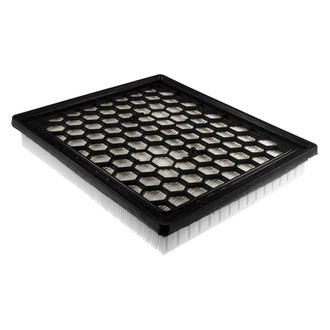 Mahle® - Engine Air Filter