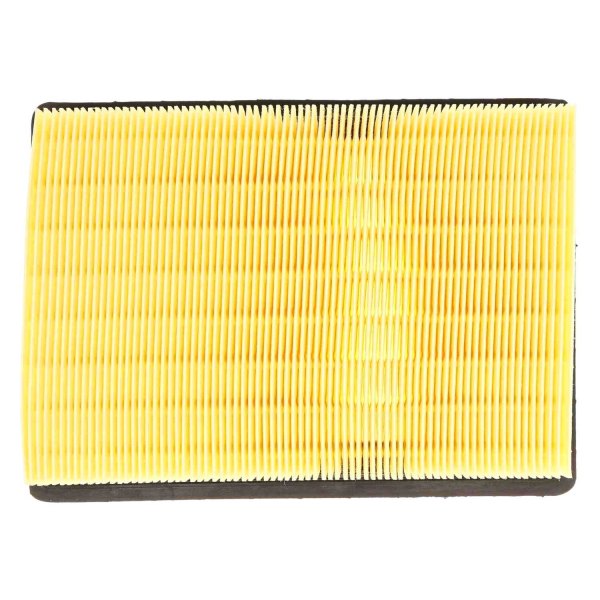 Mahle® - Air Filter
