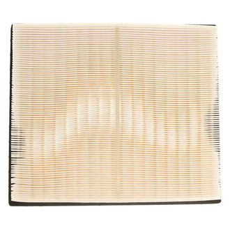 Mahle® - Engine Air Filter