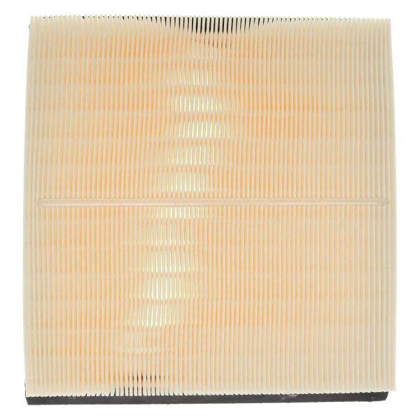 Mahle® - Air Filter