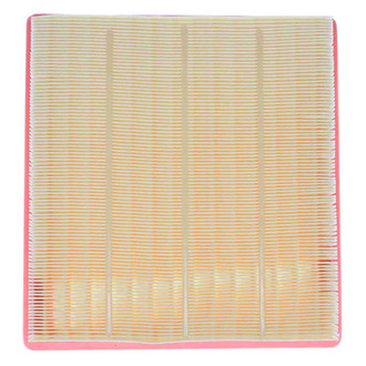 Mahle® - Air Filter