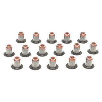 Mahle® - Valve Stem Oil Seal Set