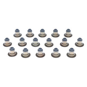 Mahle® - Valve Stem Oil Seal Set