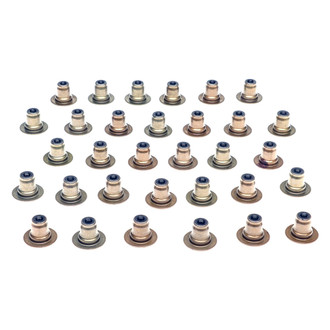 Mahle® - Valve Stem Oil Seal Set