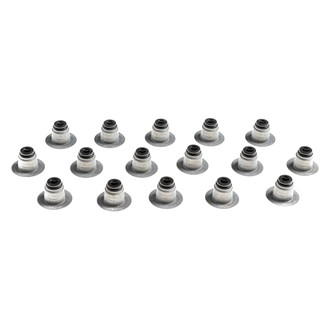 Mahle® - Valve Stem Oil Seal Set