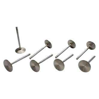 Manley® - Domestic Race Series™ Valve Set