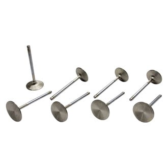 Manley® - Race Flo and Race Master™ Intake Triple Groove Valve Set