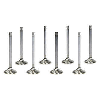 Manley® - Domestic Race Series™ Valve Set