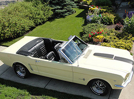 Maradyne® - Custom Car