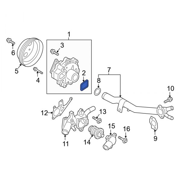 Engine Water Pump Gasket