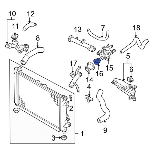 Engine Coolant Thermostat