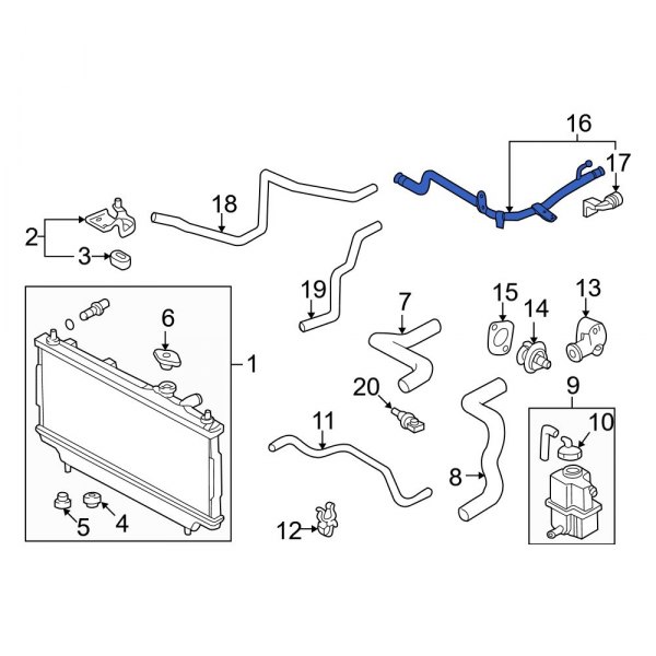 Engine Coolant Bypass Hose