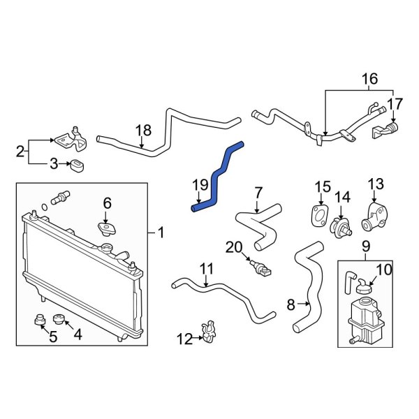 Automatic Transmission Oil Cooler Hose