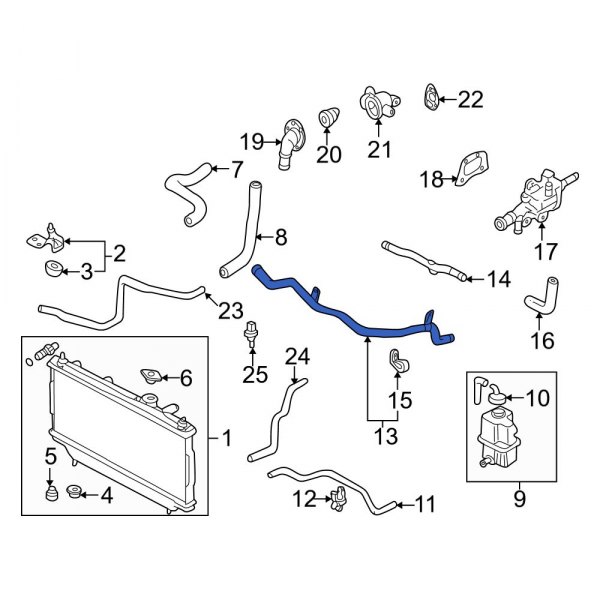 Engine Coolant Bypass Hose