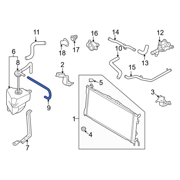 Engine Coolant Overflow Hose