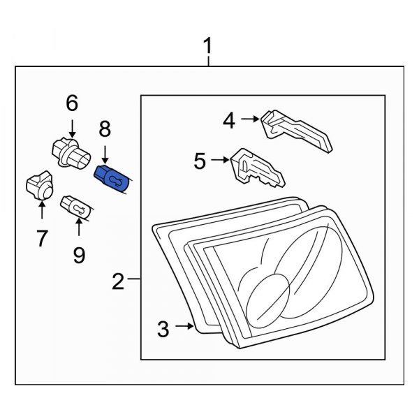 Tail Light Bulb