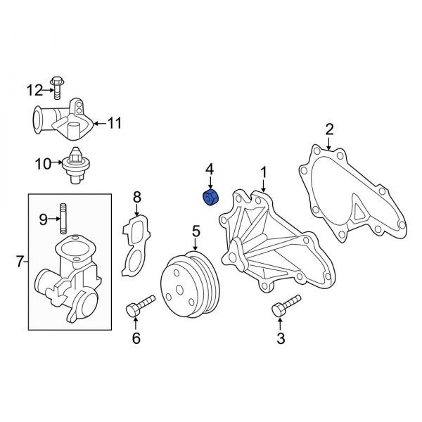 Engine Water Pump Nut