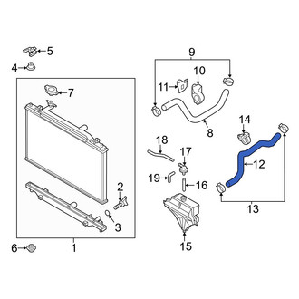 Mazda OE - Lower Radiator Coolant Hose