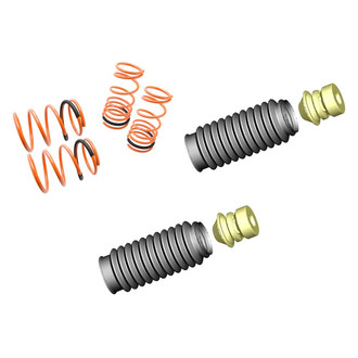 Megan Racing® - Lowering Coil Springs Kit