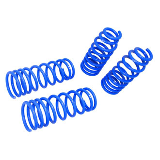 Megan Racing® - Manzo™ Lowering Coil Springs