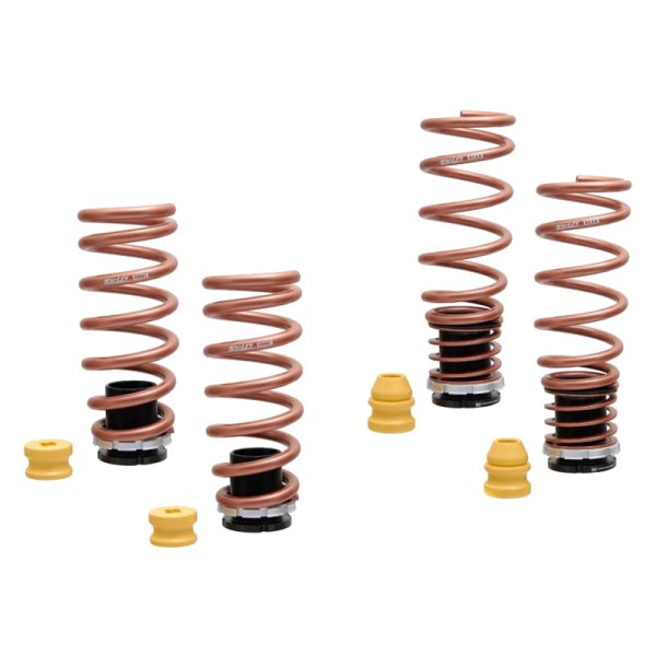 Megan Racing® - Pro-S Series Front and Rear Lowering Spring System