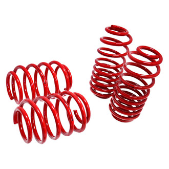 Megan Racing® - Front and Rear Lowering Coil Springs