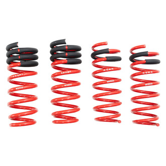 Megan Racing® - Lowering Coil Springs