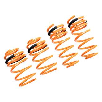 Megan Racing® - Lowering Coil Springs
