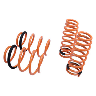 Megan Racing® - Lowering Coil Springs