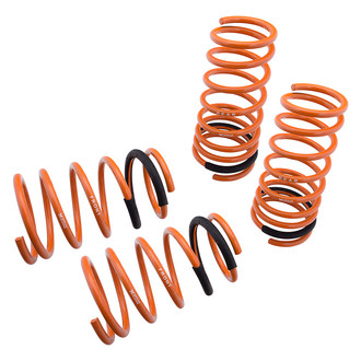 Megan Racing® - 2" x 2" Front and Rear Lowering Coil Springs