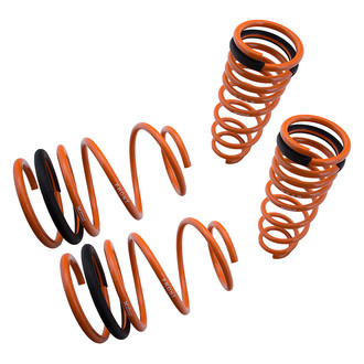 Megan Racing® - 2" x 2" Front and Rear Lowering Coil Springs
