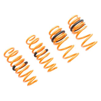 Megan Racing® - Lowering Coil Springs