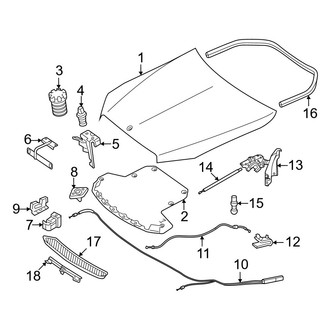 Mercedes-Benz OE - Hood & Components (Sedan)