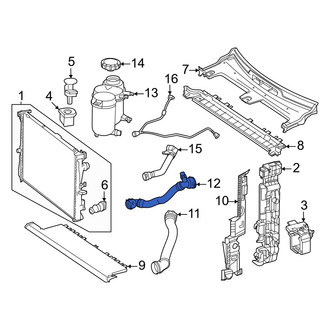 Mercedes-Benz OE - Lower Radiator Coolant Hose
