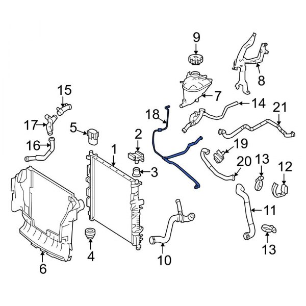 Engine Coolant Overflow Hose