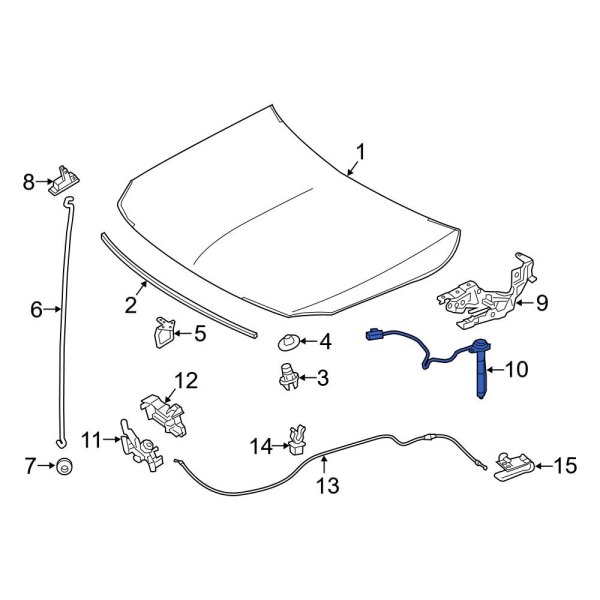 Hood Contact Switch