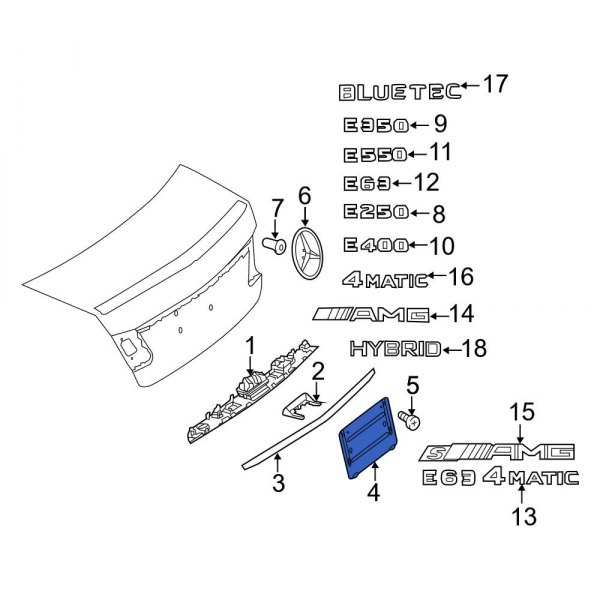 License Plate Bracket