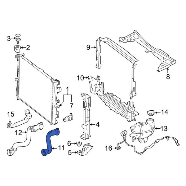 Radiator Coolant Hose