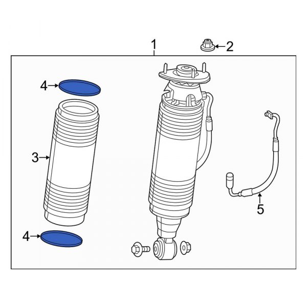 Suspension Strut Bellows Retaining Ring