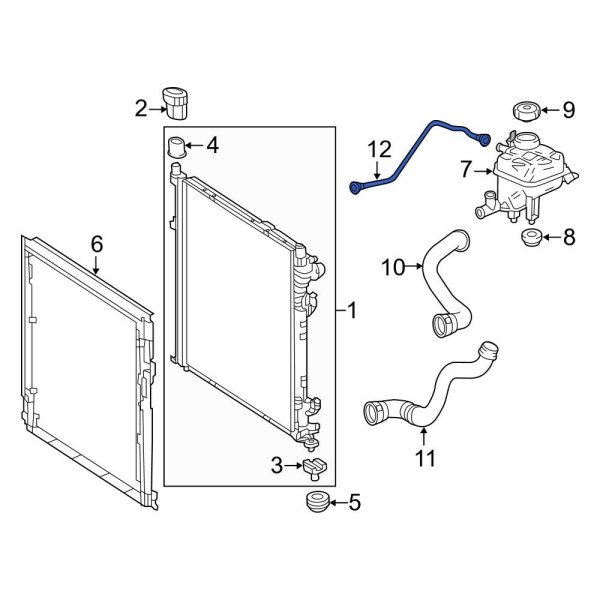 Engine Coolant Overflow Hose