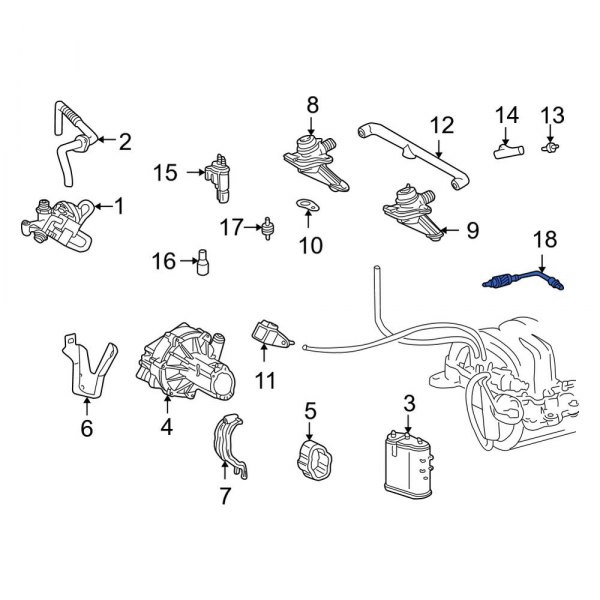 Oxygen Sensor