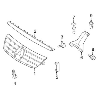 Mercedes-Benz OE - Hood & Grille - Grille & Components (Coupe)