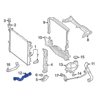Mercedes-Benz OE - Lower Radiator Coolant Hose