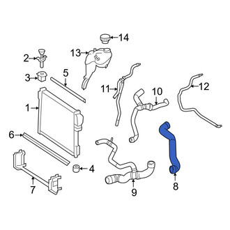 Mercedes-Benz OE - Lower Radiator Coolant Hose