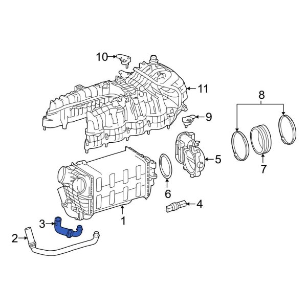 Intercooler Hose