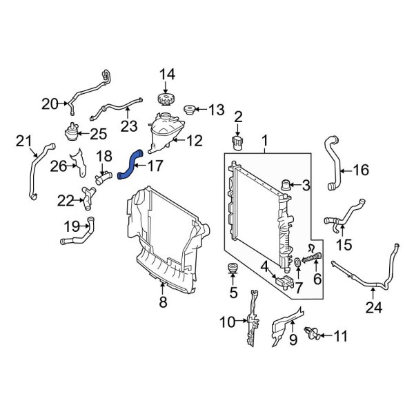 Engine Coolant Overflow Hose