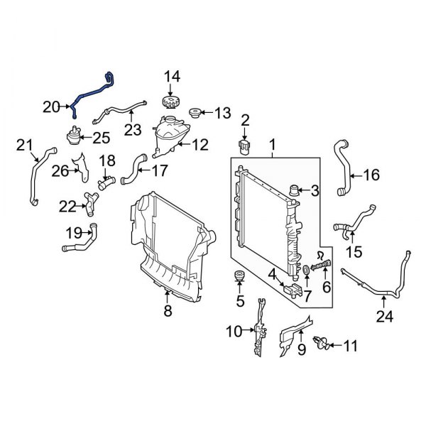 Engine Coolant Overflow Hose