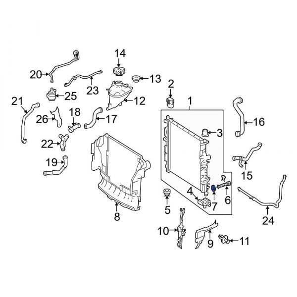 Radiator Drain Plug Gasket