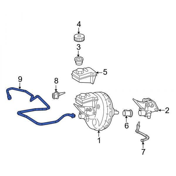 MercedesBenz OE 1644300000 Brake Vacuum Hose