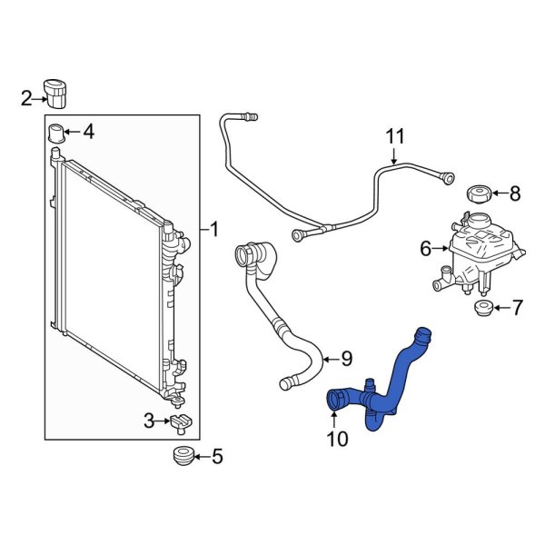 Radiator Coolant Hose